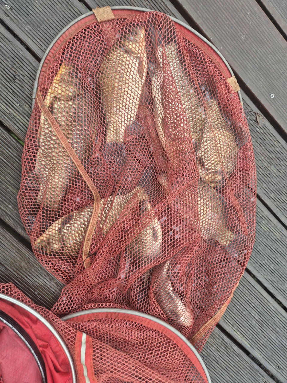 �⸮������_����_20260902_1.jpg