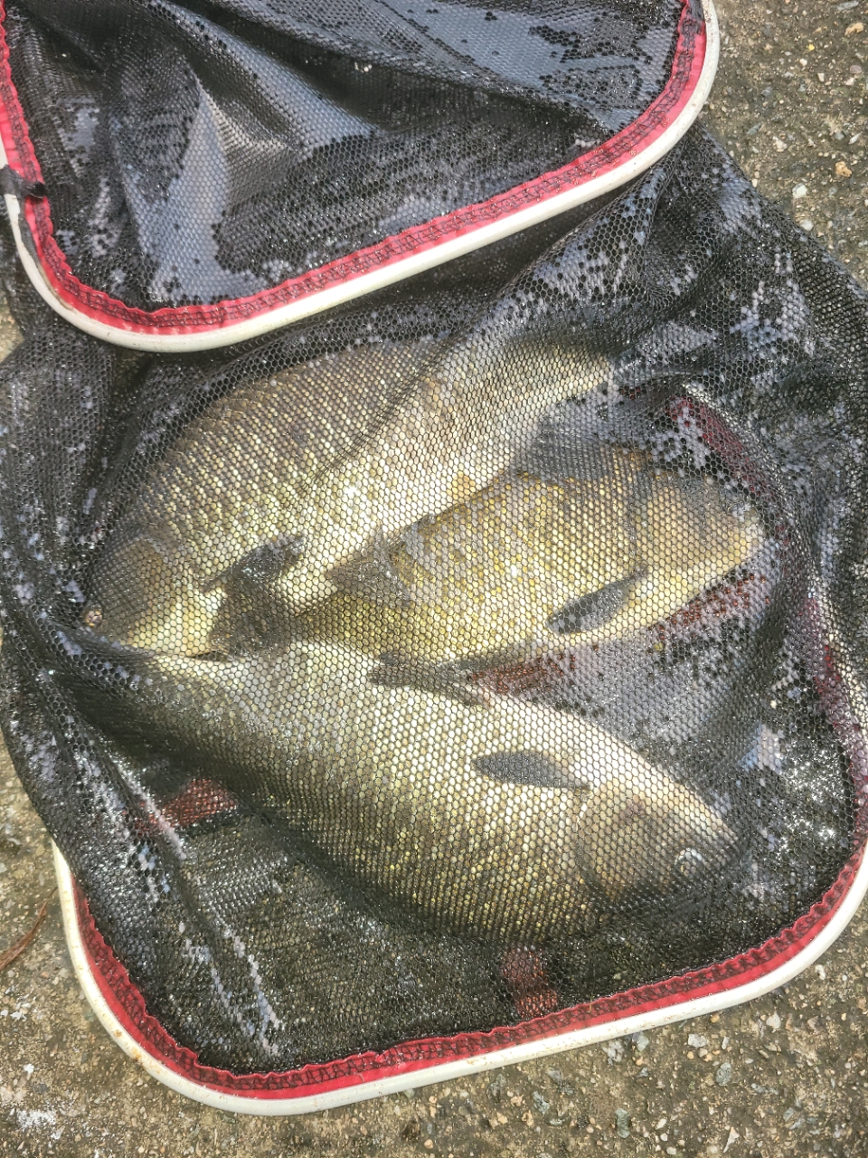�⸮������_����_20260903_19.jpg