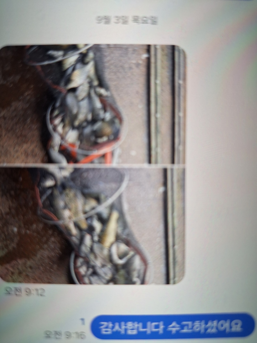 KakaoTalk_20260904_115547859.jpg