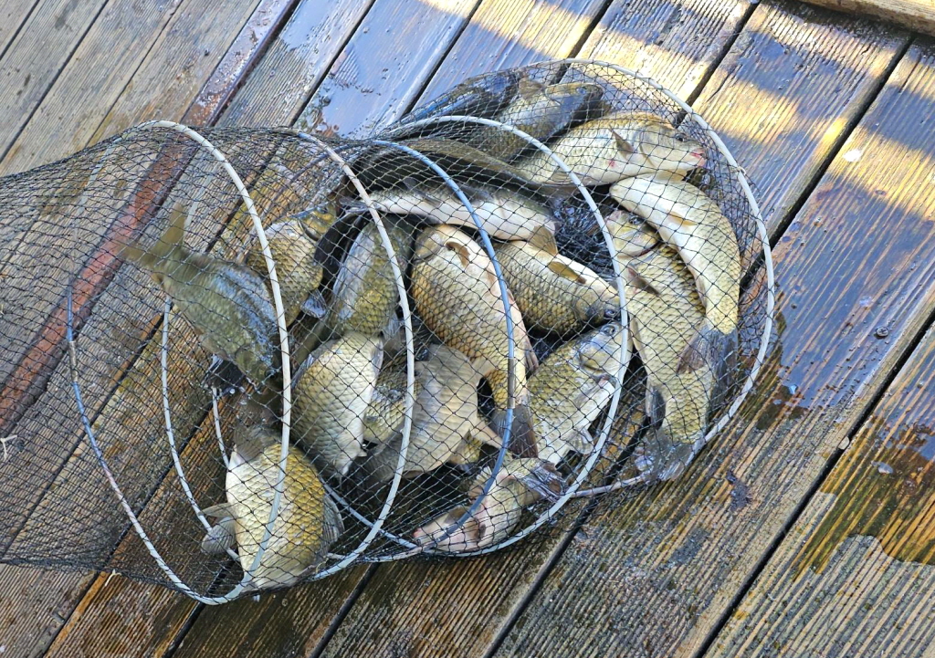 aKakaoTalk_20260905_101818383.jpg