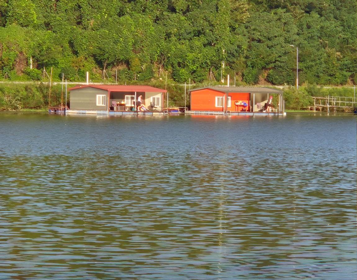 20260905_071247.jpg