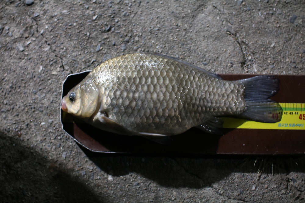 ũ�⺯ȯ_IMG_2840.JPG