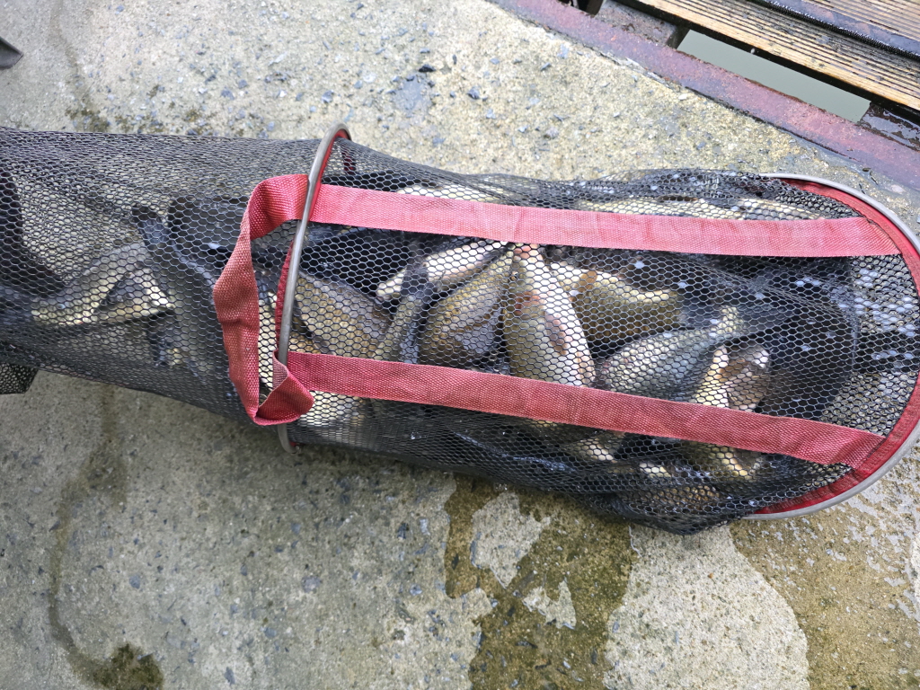 aKakaoTalk_20260907_071338739_05.jpg