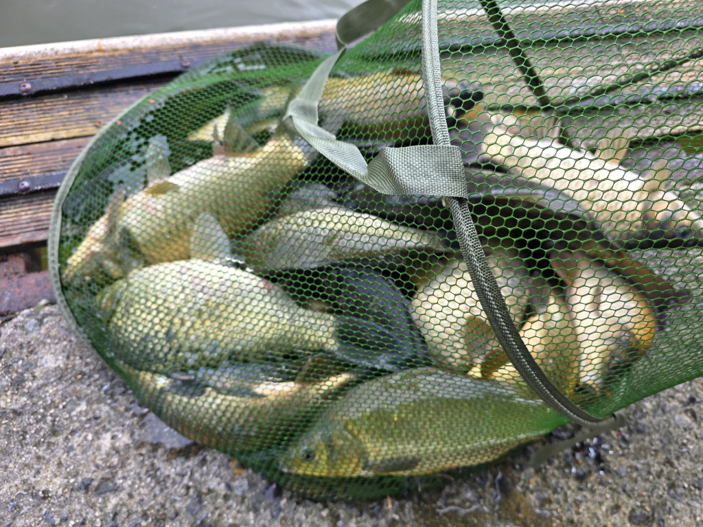 aKakaoTalk_20260907_071333596.jpg