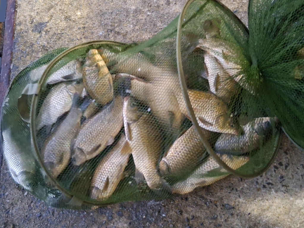 aKakaoTalk_20260907_071315403_01.jpg