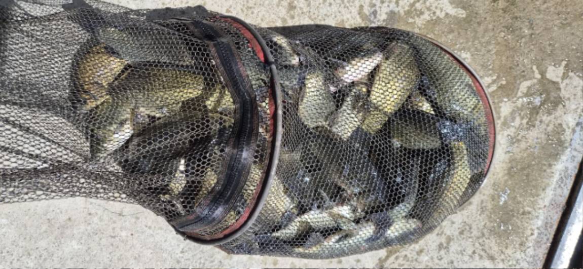 12-9 (1).jpeg