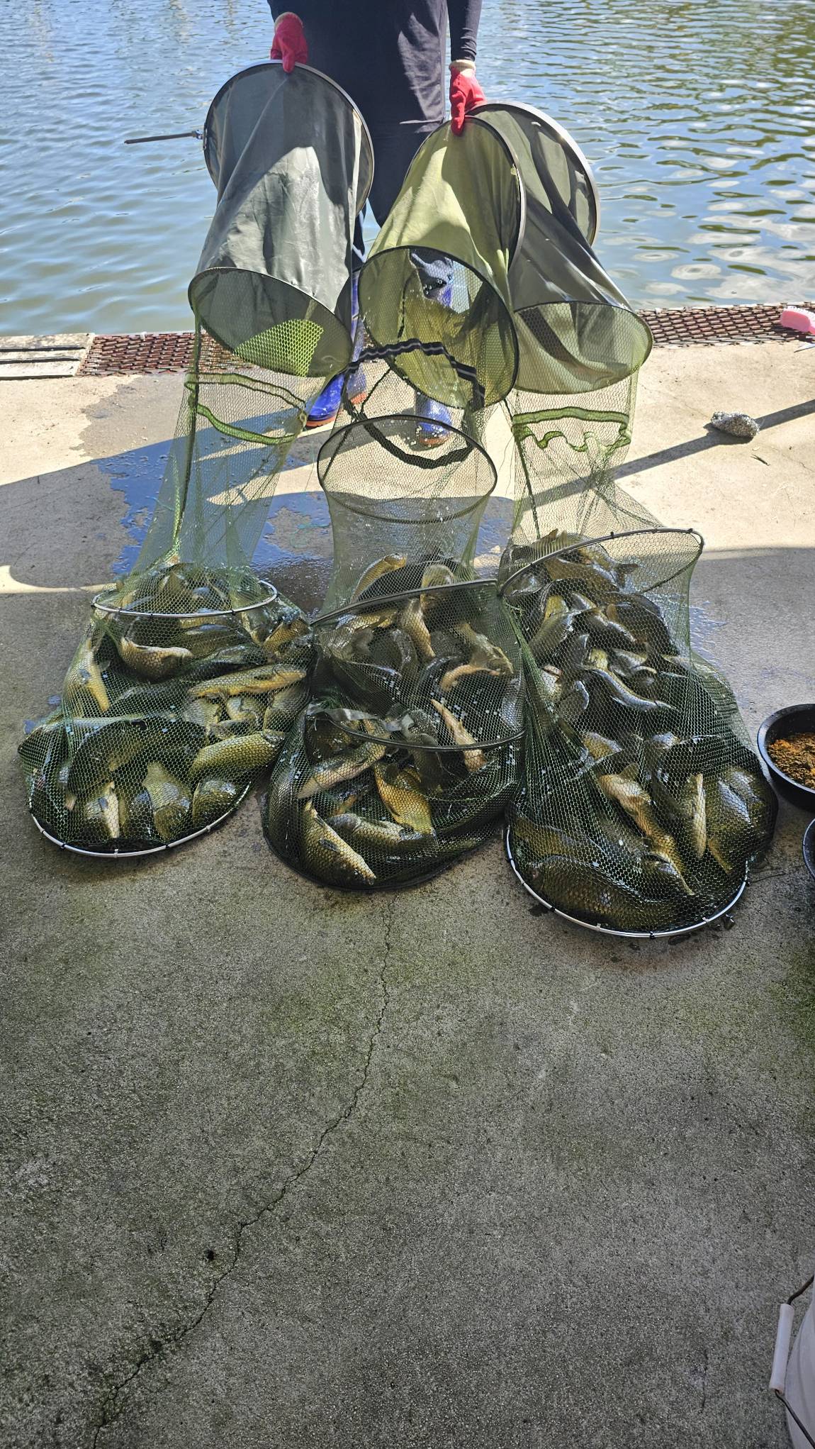 20260906_095450.jpg