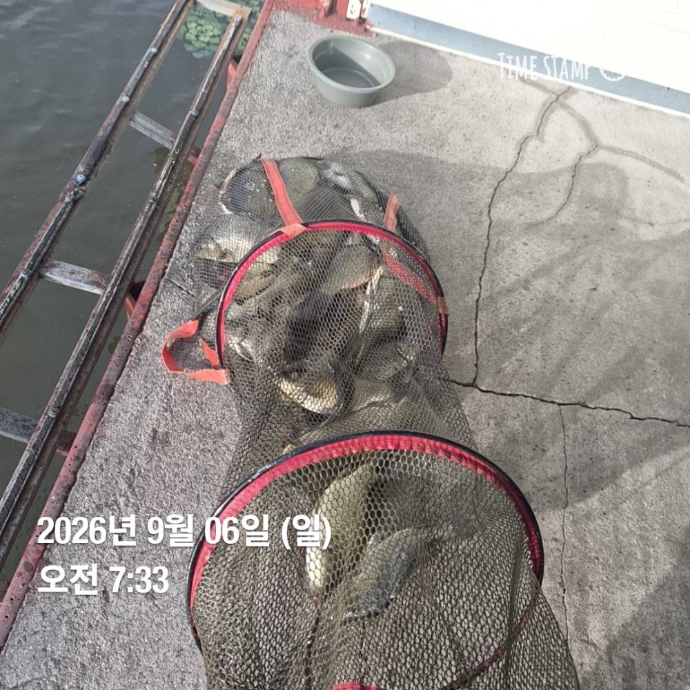 1788761445819.jpg