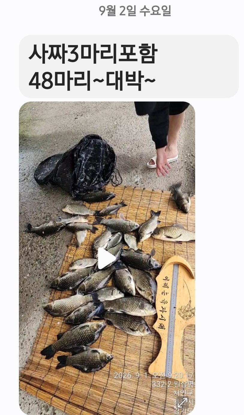 Screenshot_20260902_130815_Messages.jpg