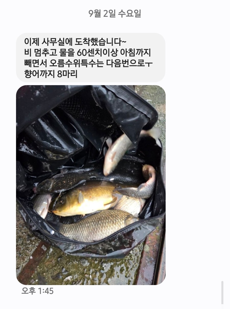 Screenshot_20260902_154654_Messages.jpg