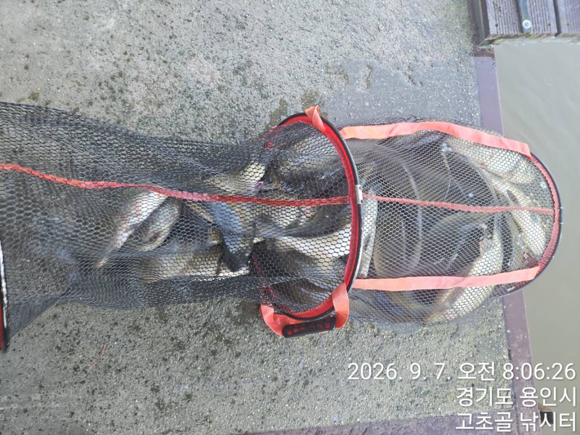 1788771164835.jpg