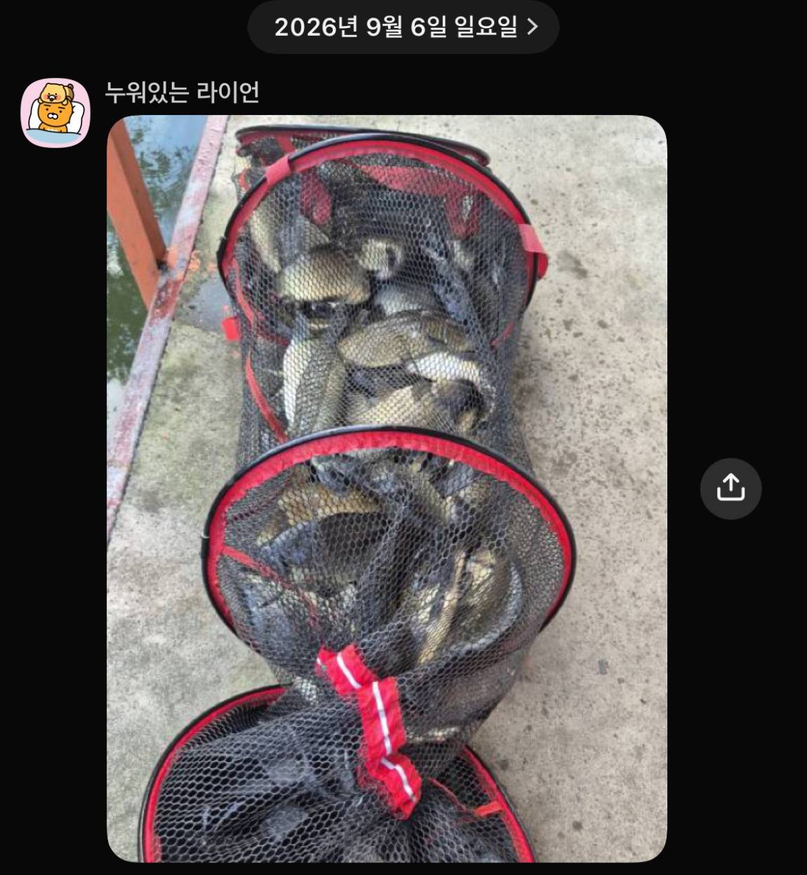 KakaoTalk_20260908_063241418_08.jpg