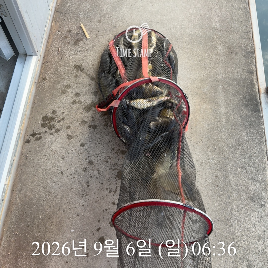 KakaoTalk_20260908_063241418_12.jpg