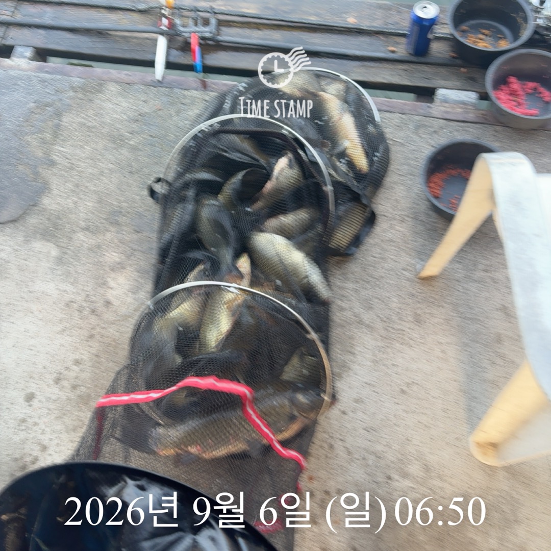 KakaoTalk_20260908_063241418_10.jpg