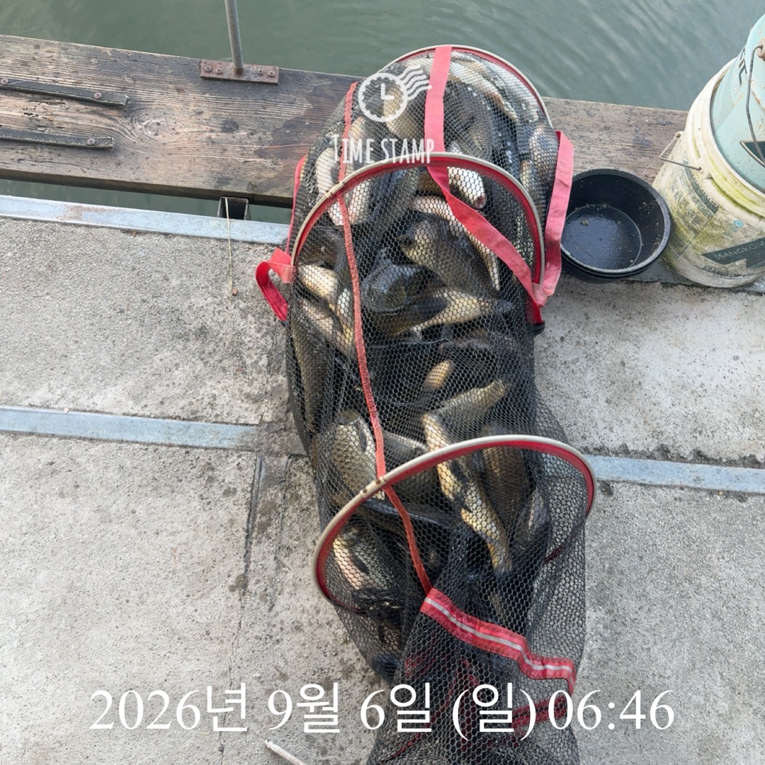 KakaoTalk_20260908_063241418_11.jpg