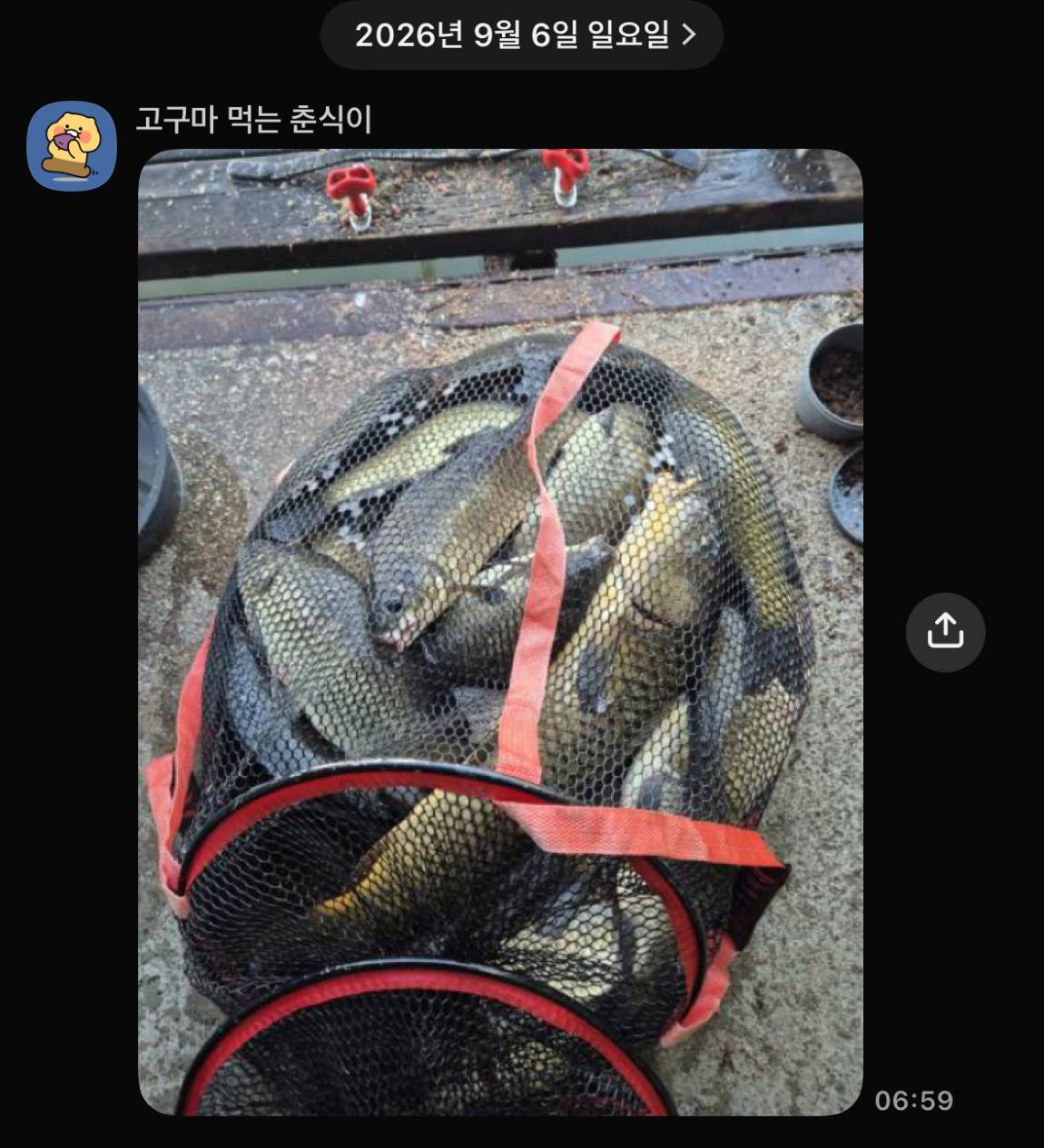 KakaoTalk_20260908_063241418_09.jpg