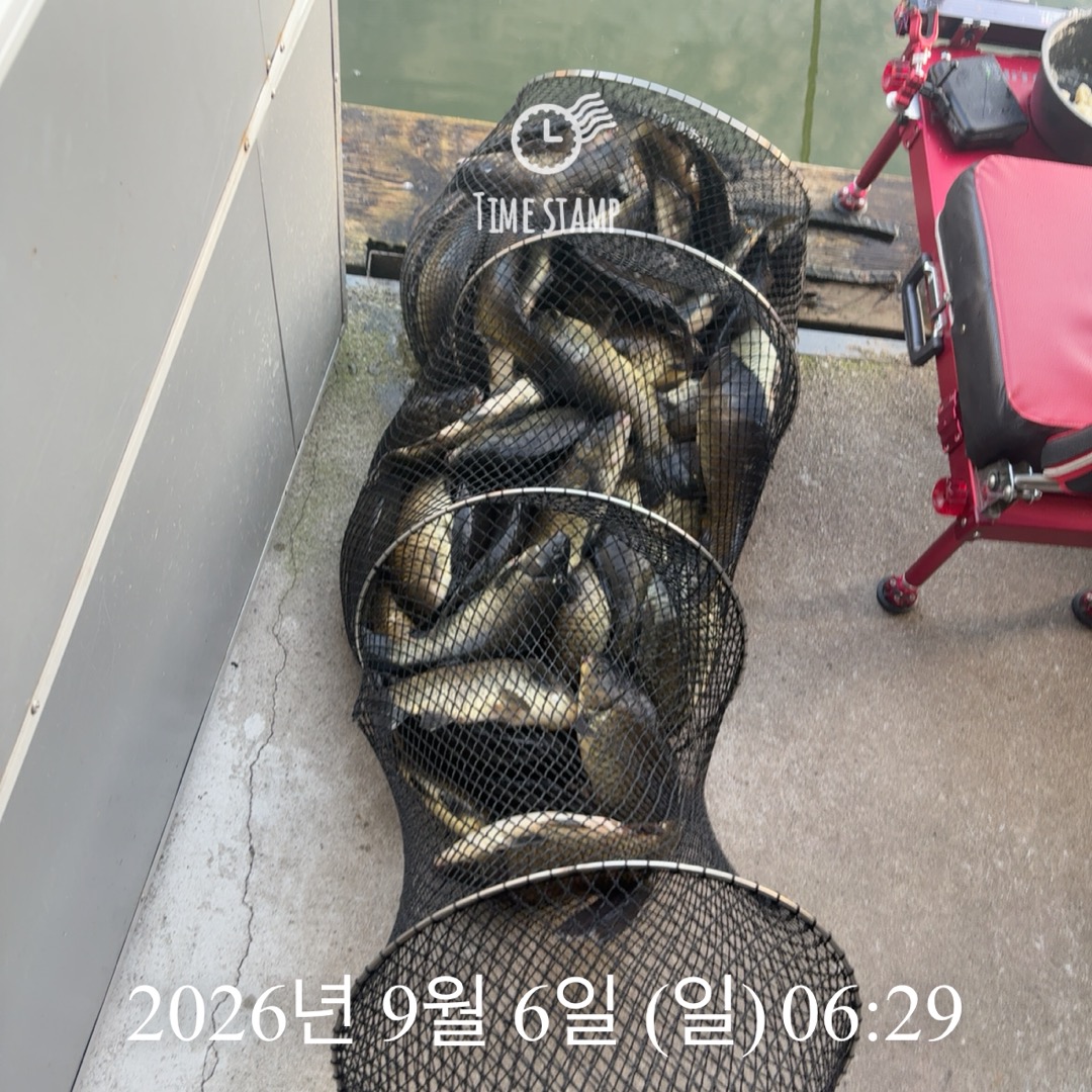 KakaoTalk_20260908_063241418_14.jpg