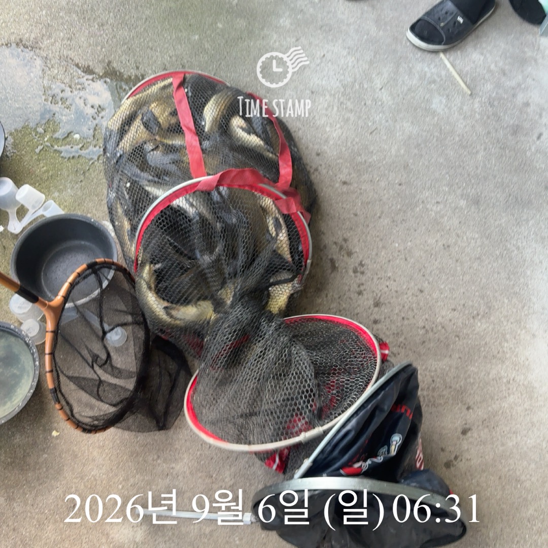KakaoTalk_20260908_063241418_13.jpg