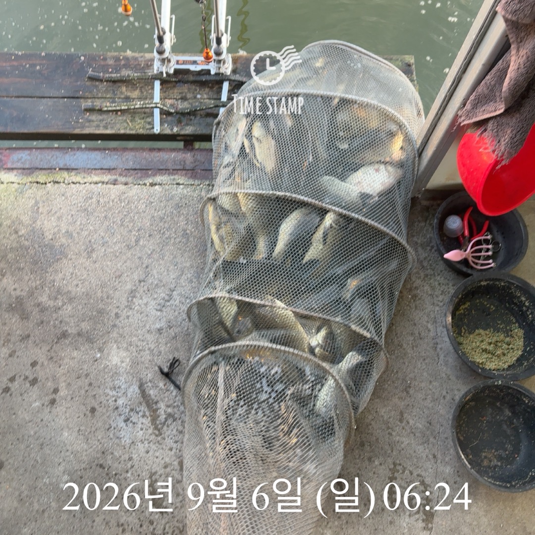 KakaoTalk_20260908_063241418_15.jpg