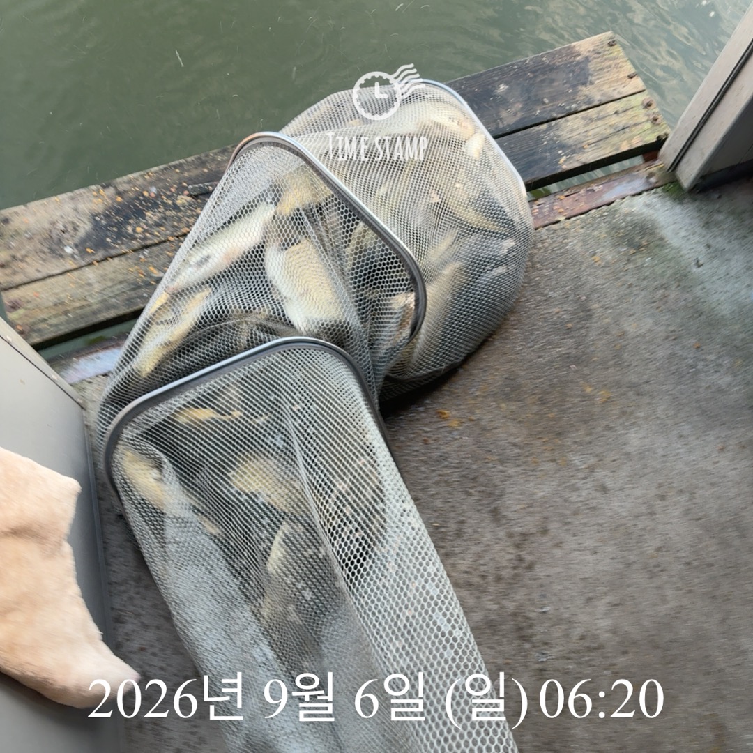 KakaoTalk_20260908_063241418_16.jpg