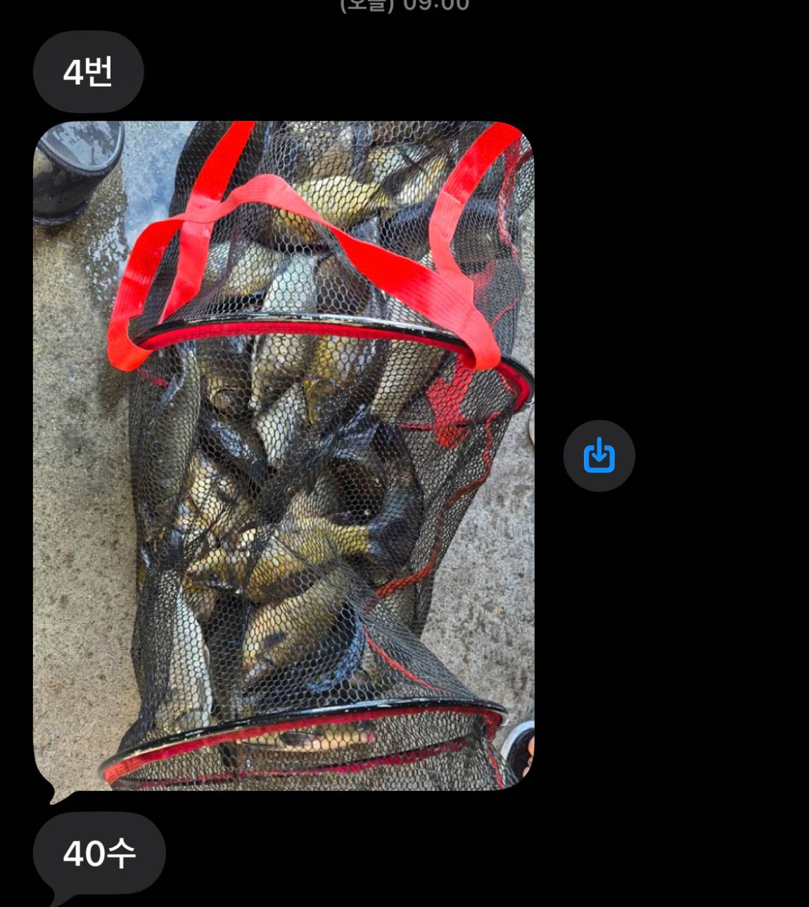 KakaoTalk_20260908_063241418.jpg