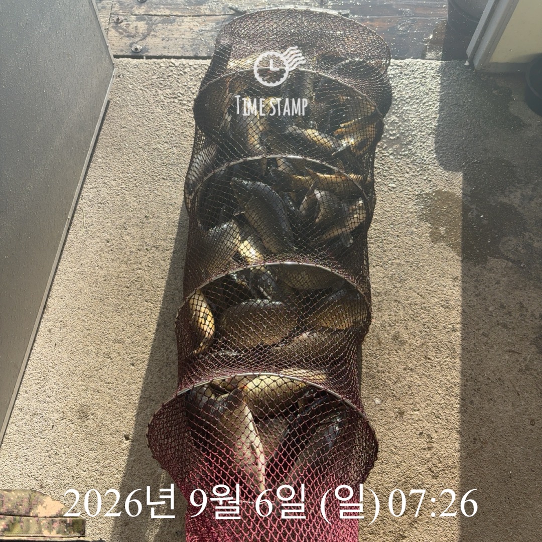 KakaoTalk_20260908_063241418_05.jpg