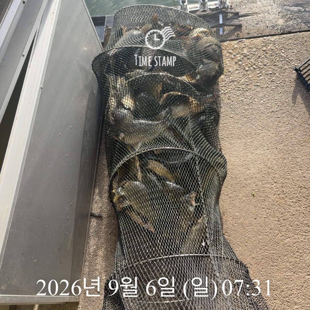 KakaoTalk_20260908_063241418_04.jpg