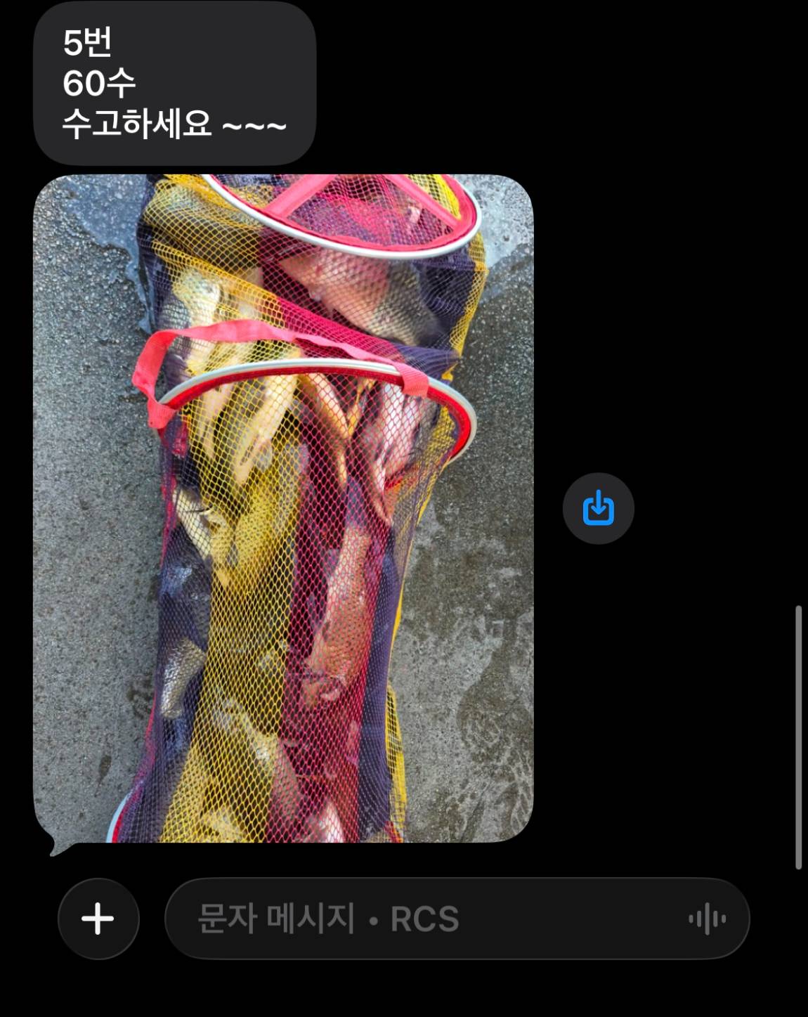 KakaoTalk_20260908_063241418_01.jpg