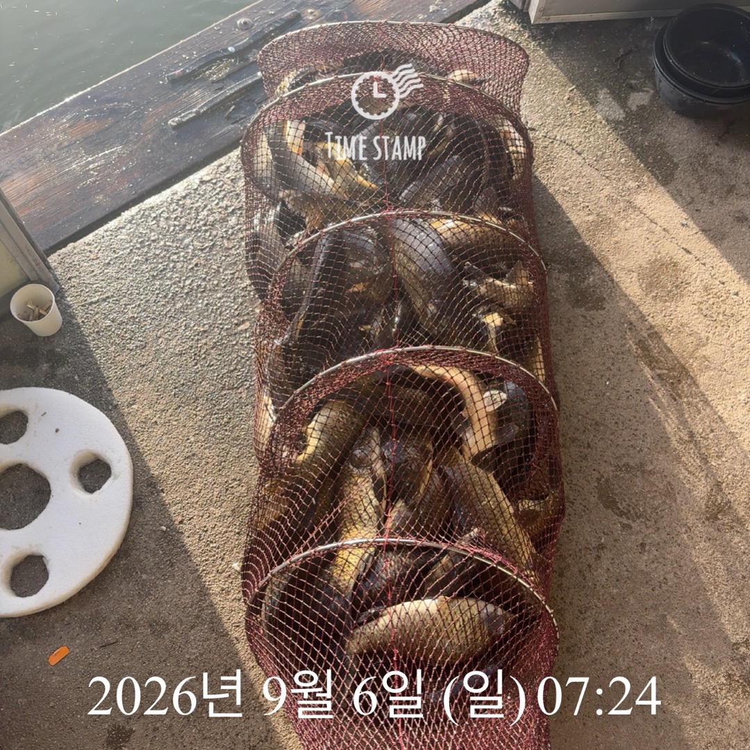 KakaoTalk_20260908_063241418_06.jpg