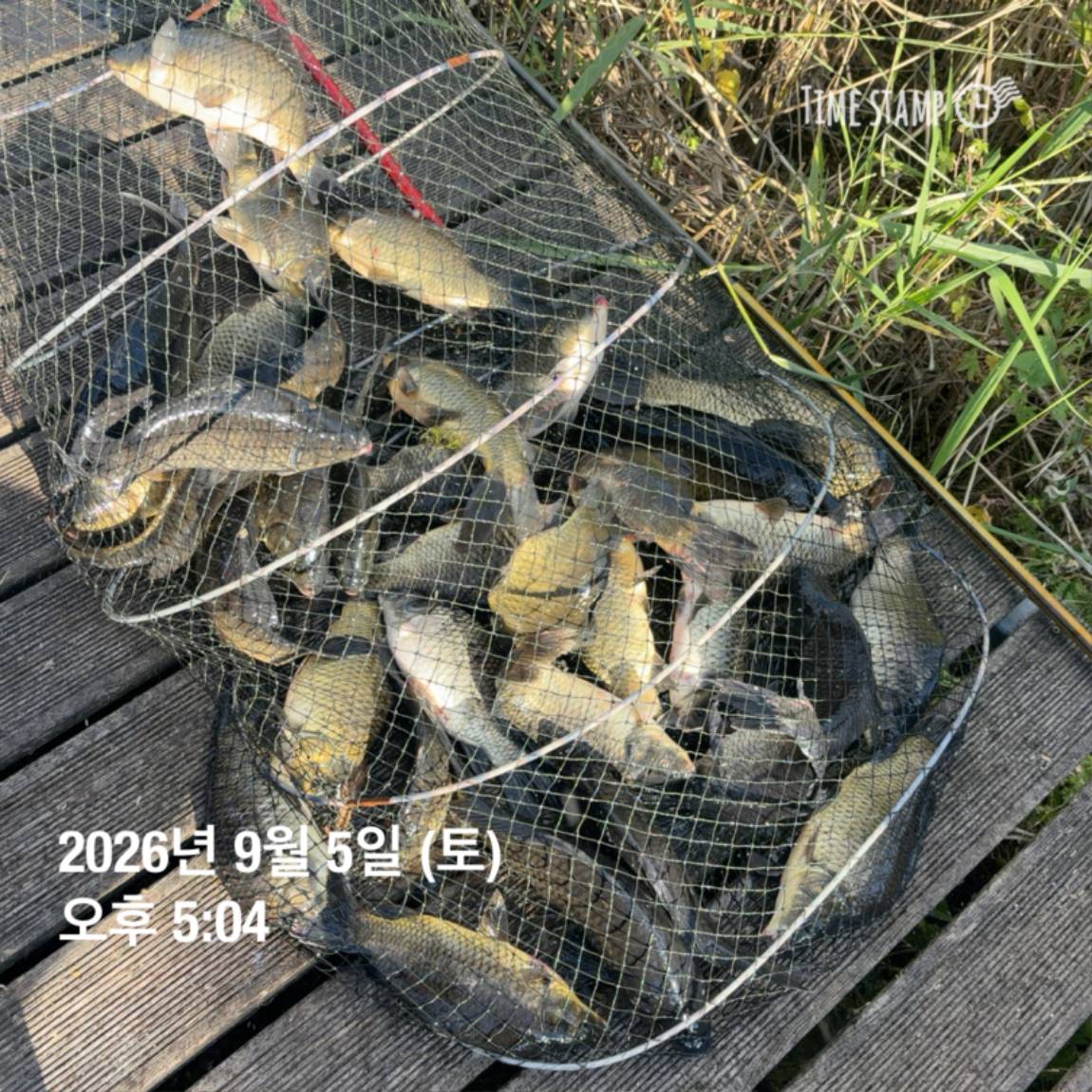 KakaoTalk_20260908_104647983_11.jpg