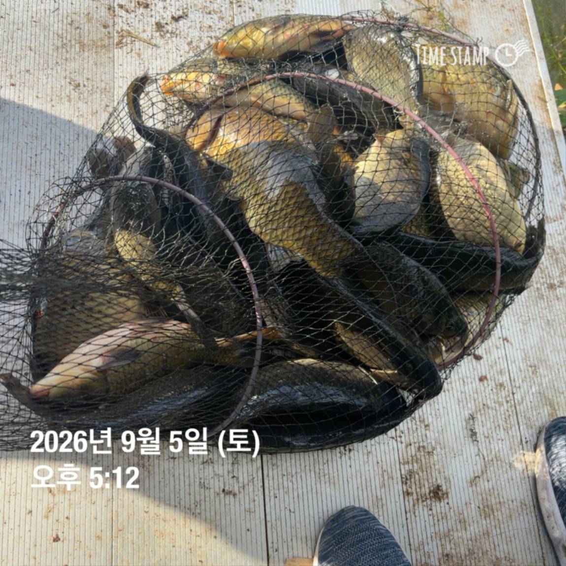 KakaoTalk_20260908_104647983_12.jpg