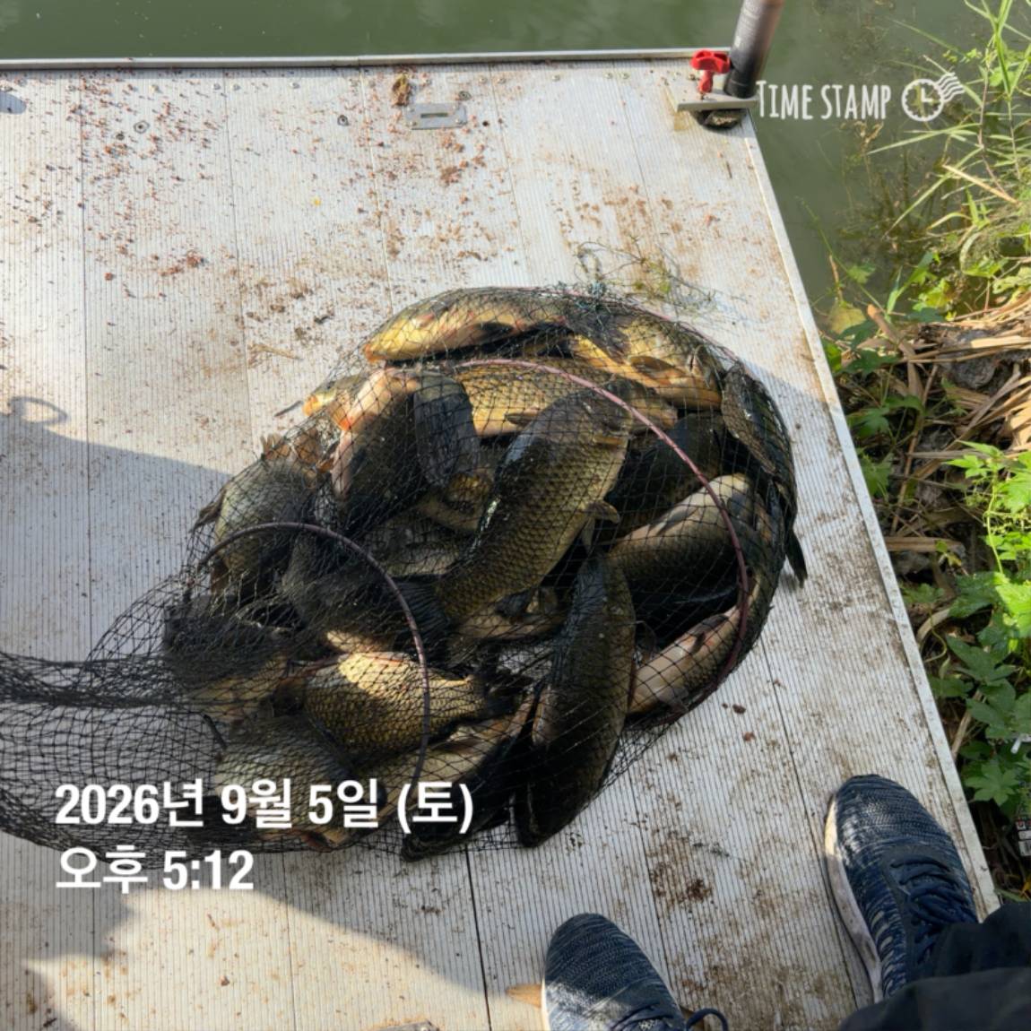 KakaoTalk_20260908_104647983_13.jpg