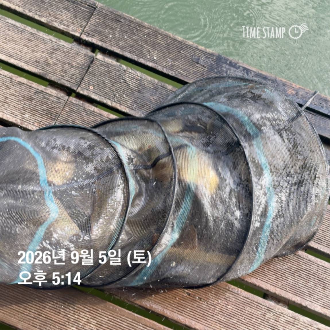 KakaoTalk_20260908_104647983_15.jpg