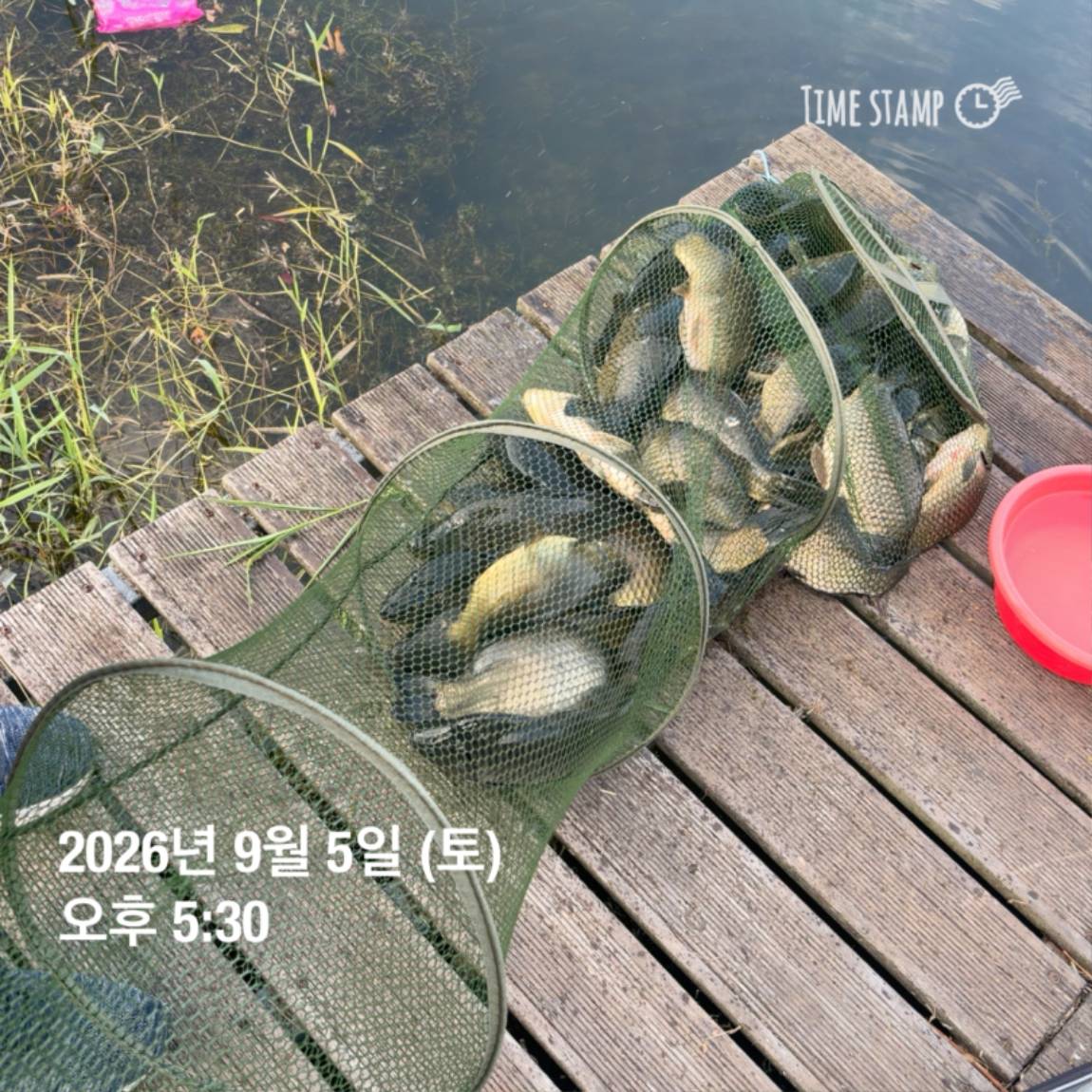 KakaoTalk_20260908_104647983_17.jpg
