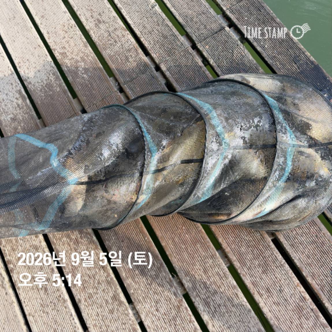 KakaoTalk_20260908_104647983_16.jpg