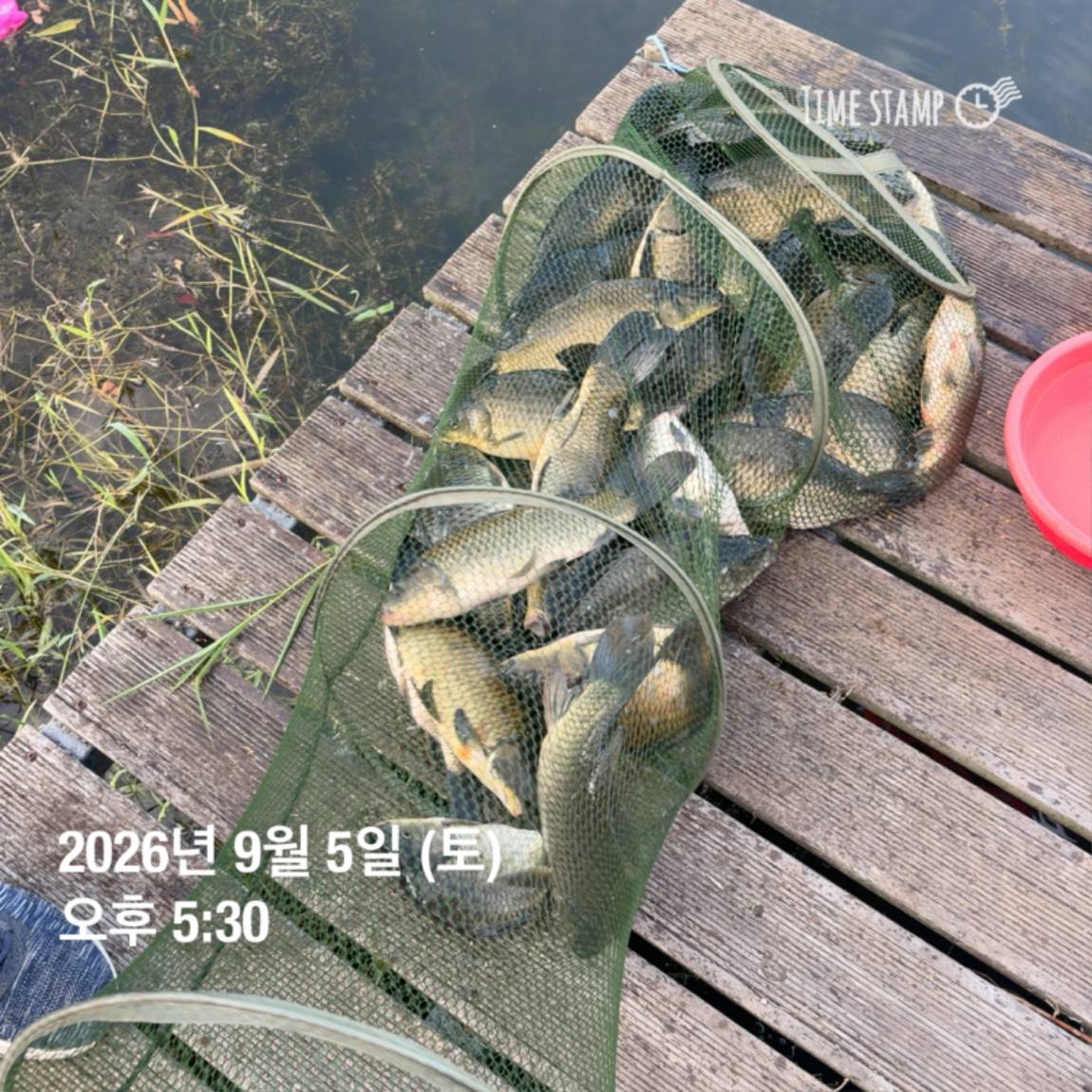 KakaoTalk_20260908_104647983_19.jpg