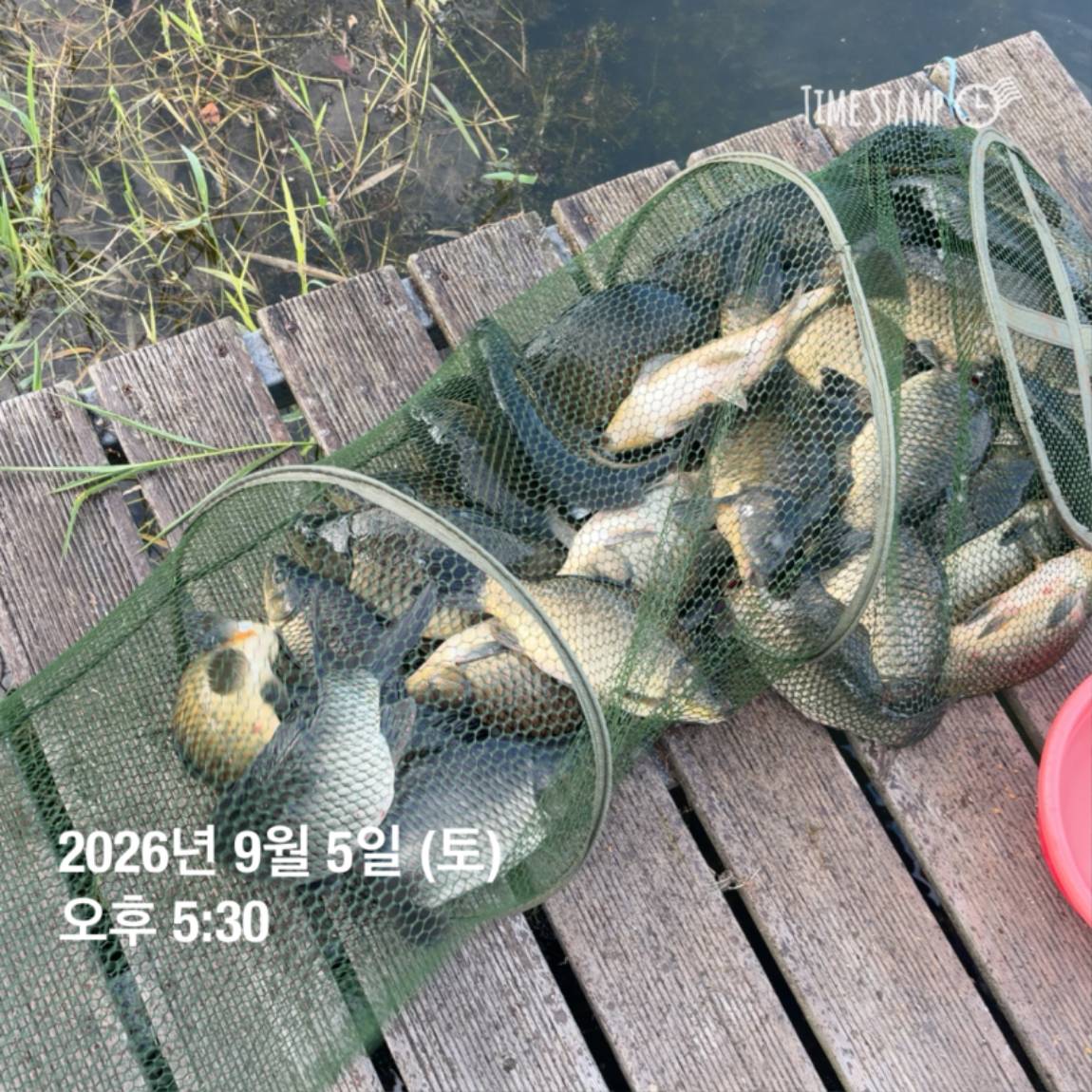KakaoTalk_20260908_104647983_18.jpg