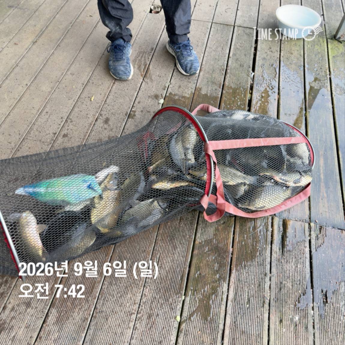 KakaoTalk_20260908_104647983_20.jpg