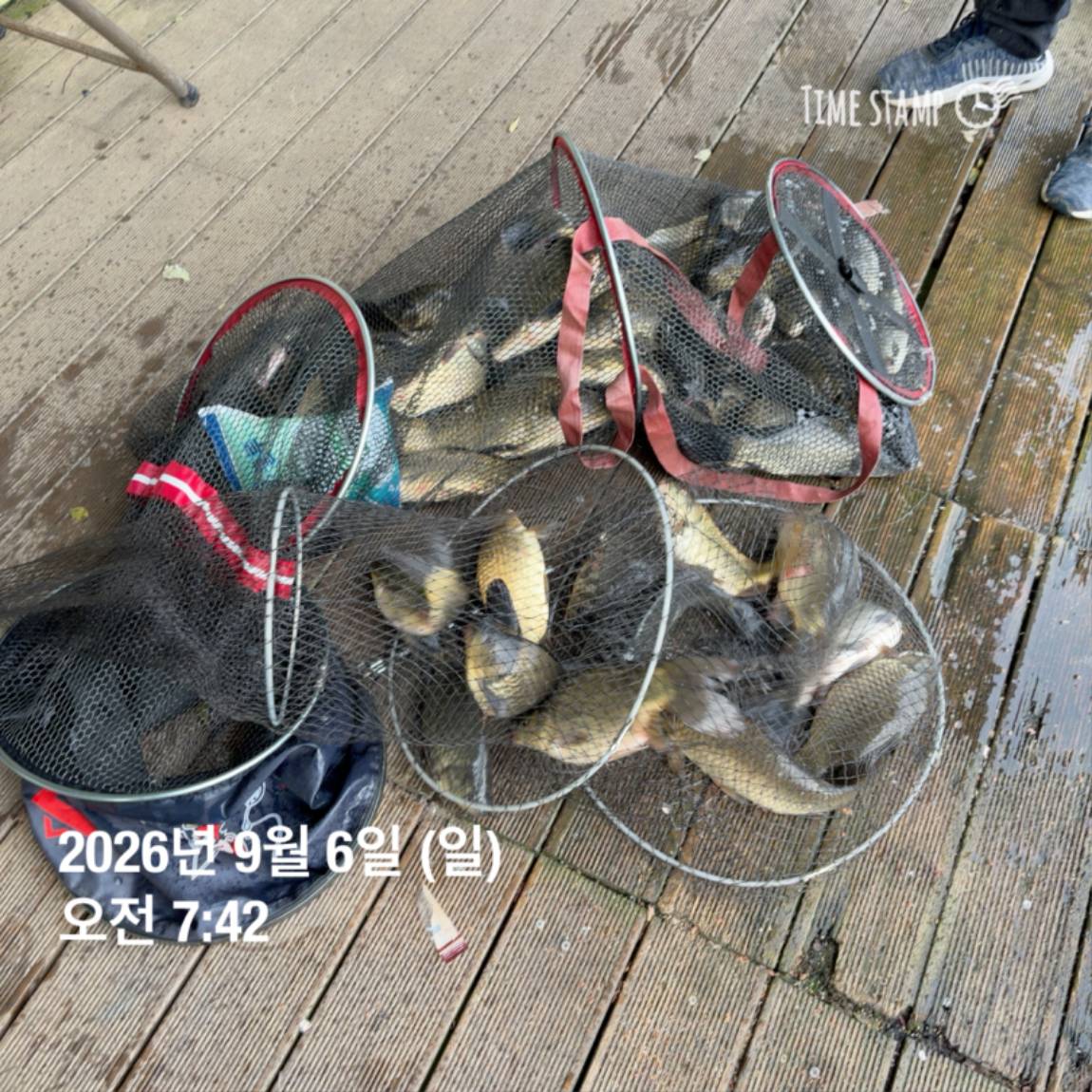 KakaoTalk_20260908_104647983_23.jpg