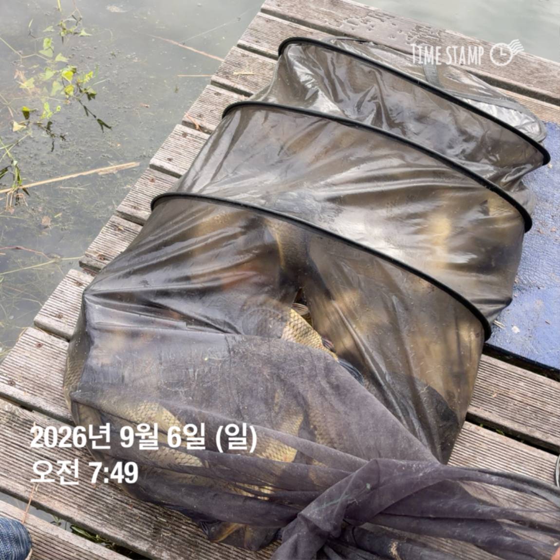 KakaoTalk_20260908_104647983_24.jpg