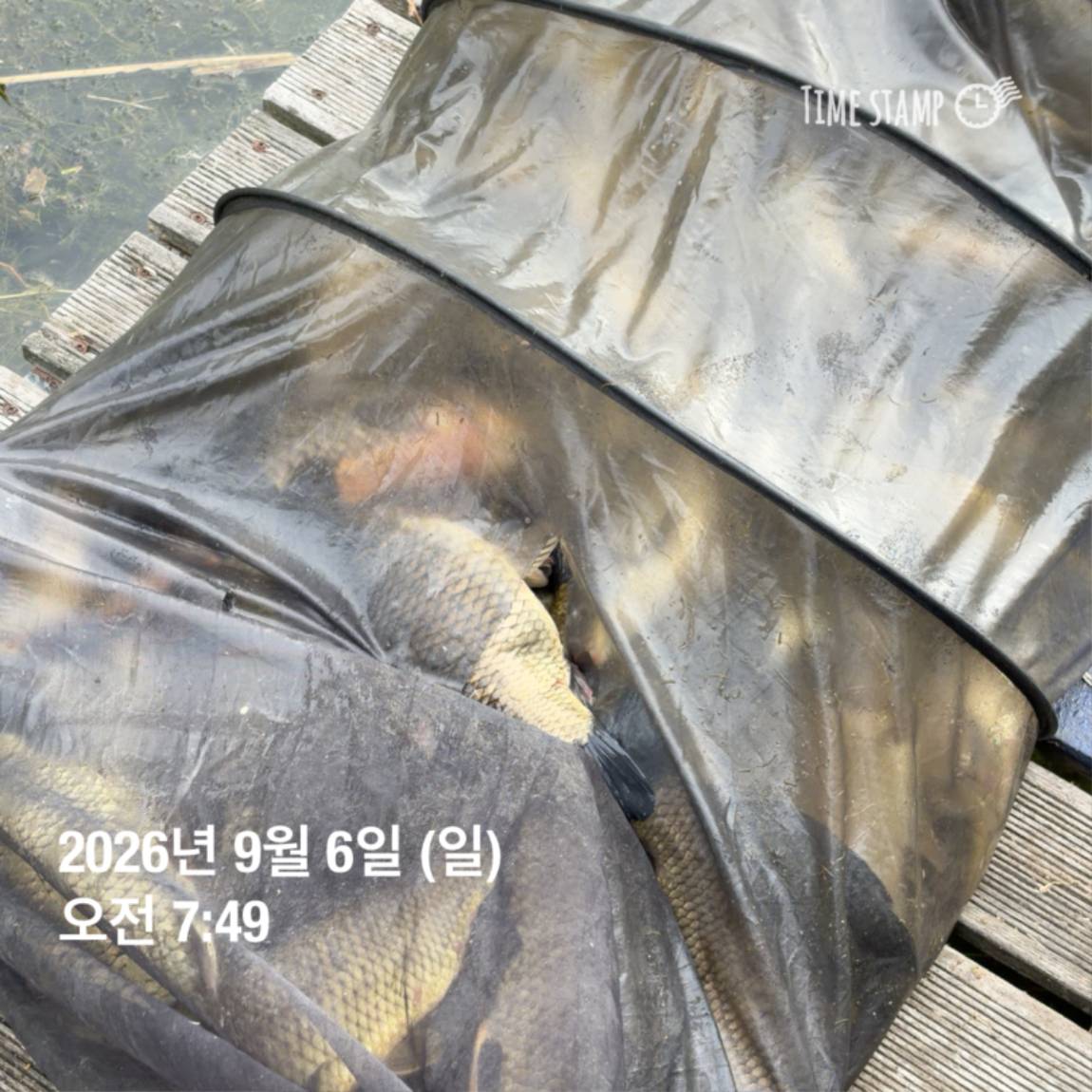 KakaoTalk_20260908_104647983_25.jpg