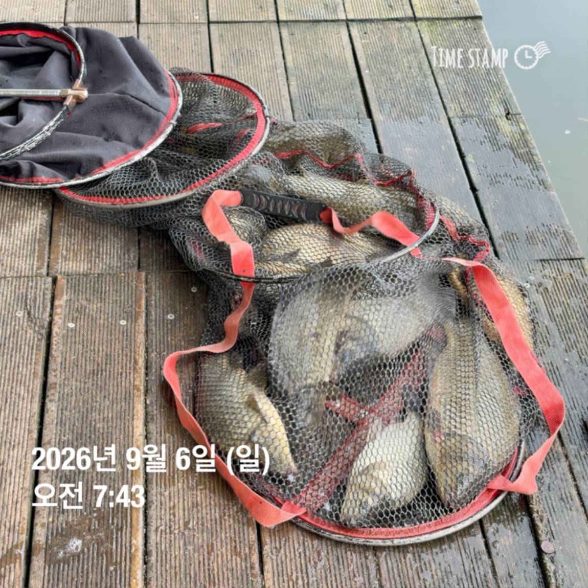 KakaoTalk_20260908_104647983_28.jpg