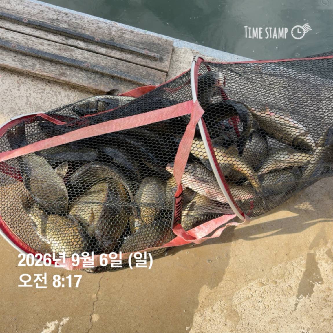 KakaoTalk_20260908_104821798.jpg
