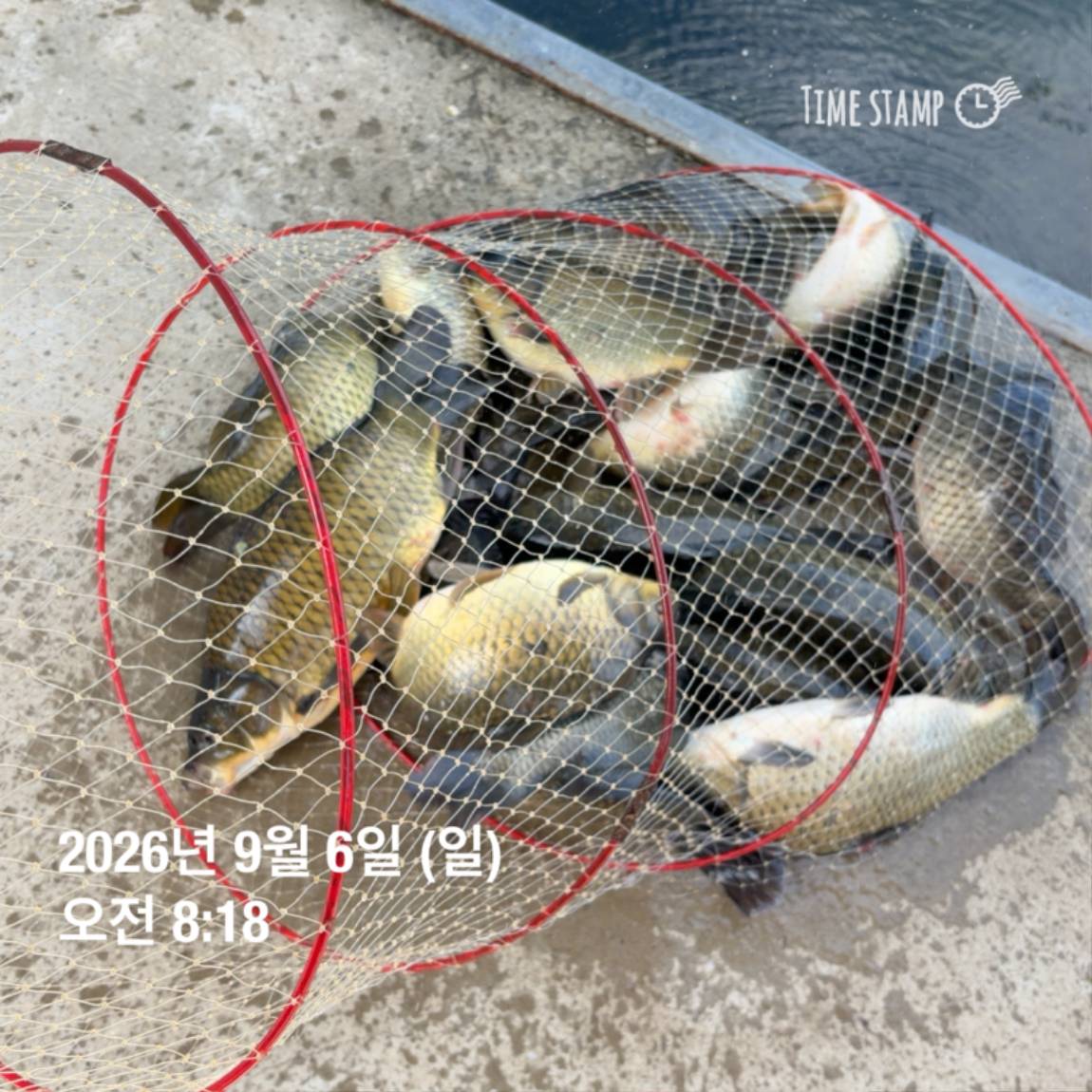 KakaoTalk_20260908_104821798_02.jpg