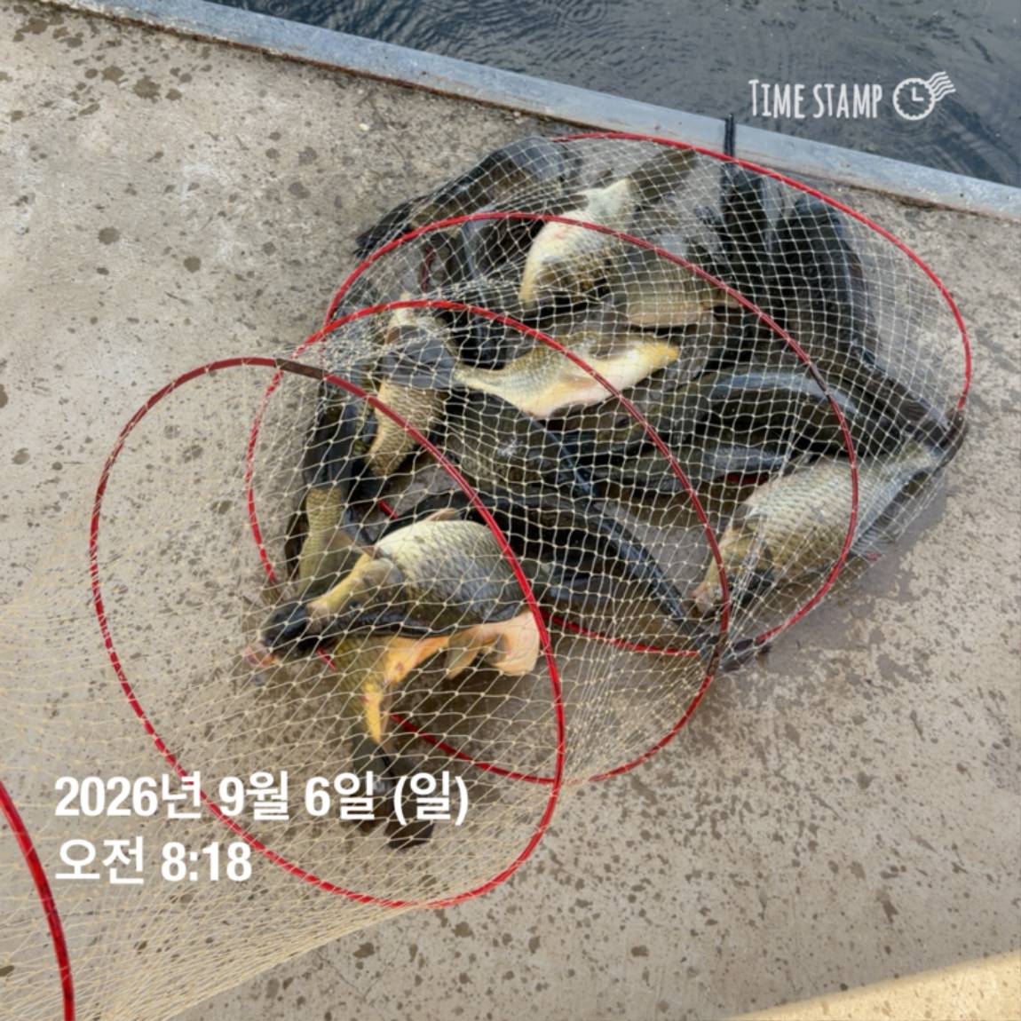 KakaoTalk_20260908_104821798_01.jpg