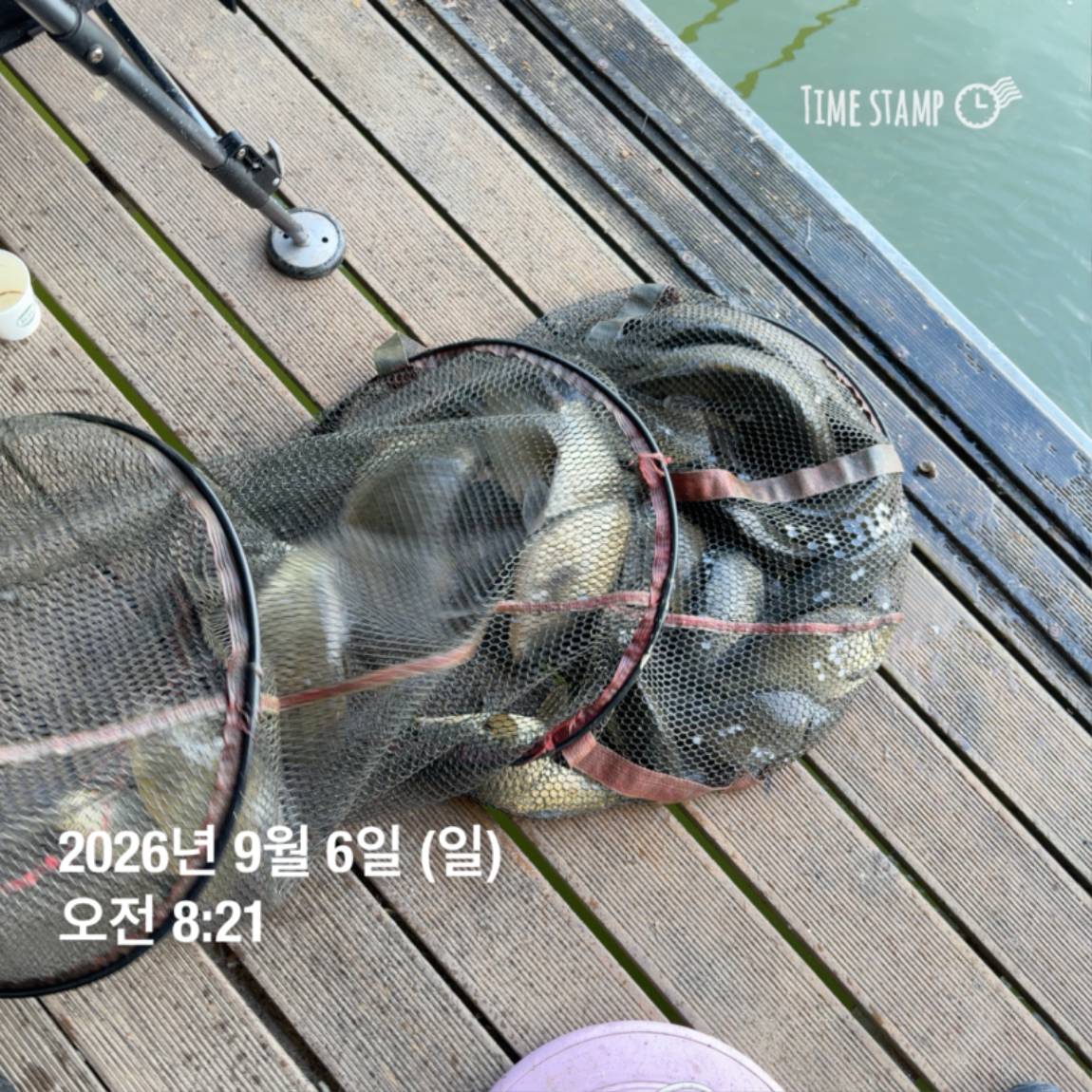 KakaoTalk_20260908_104821798_03.jpg