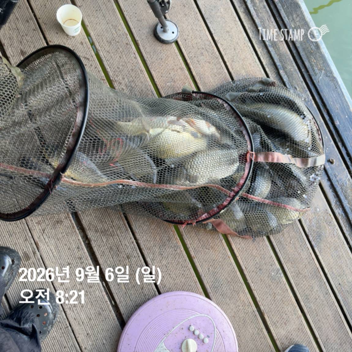 KakaoTalk_20260908_104821798_04.jpg