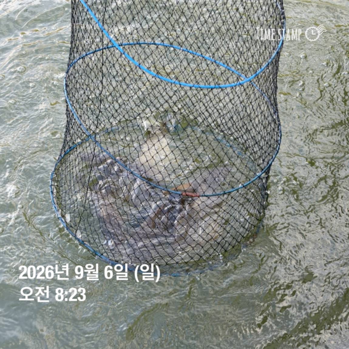 KakaoTalk_20260908_104821798_06.jpg