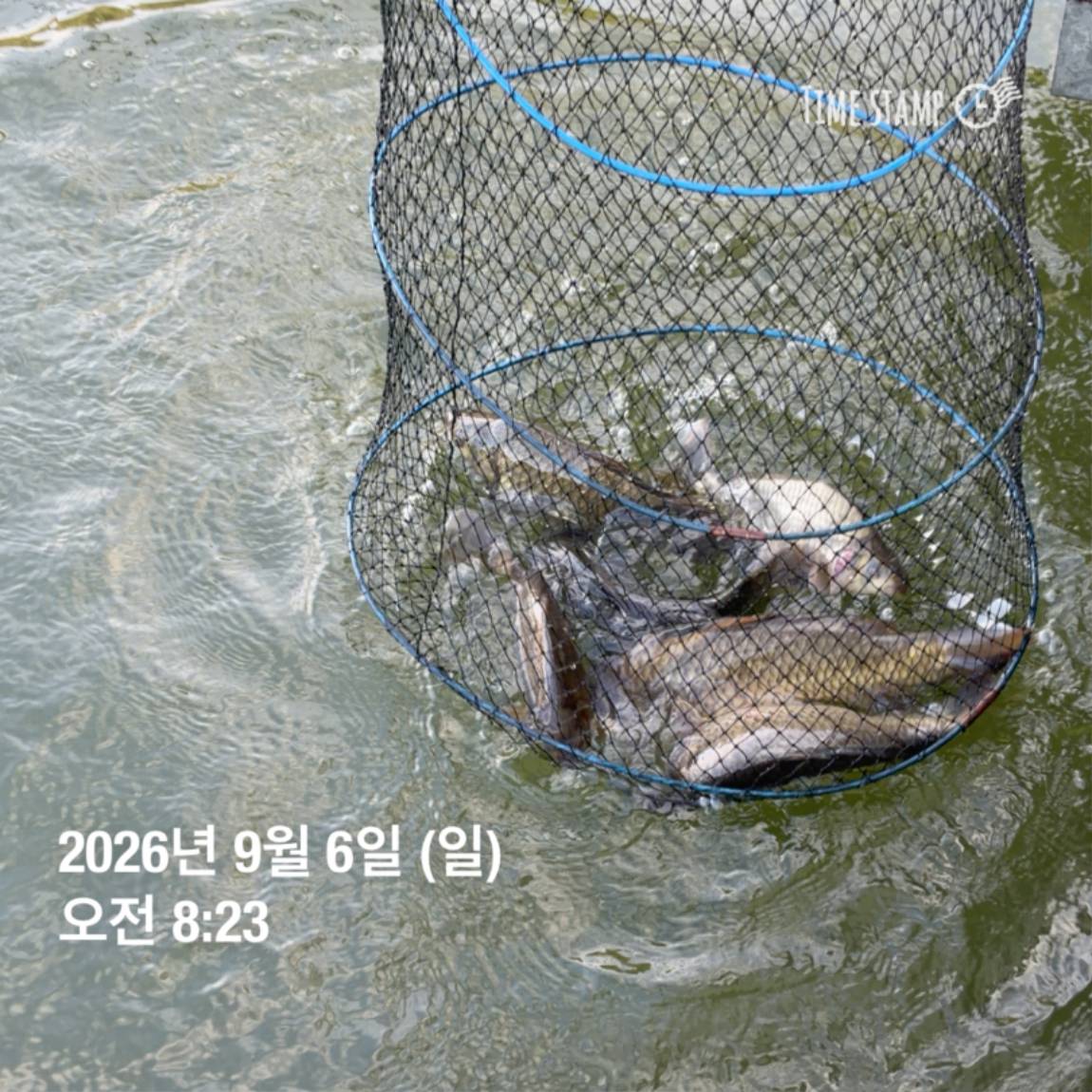 KakaoTalk_20260908_104821798_07.jpg