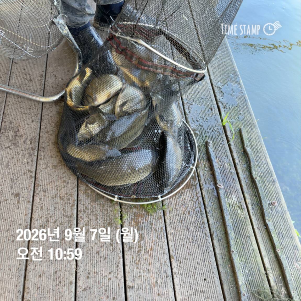 KakaoTalk_20260908_104821798_16.jpg